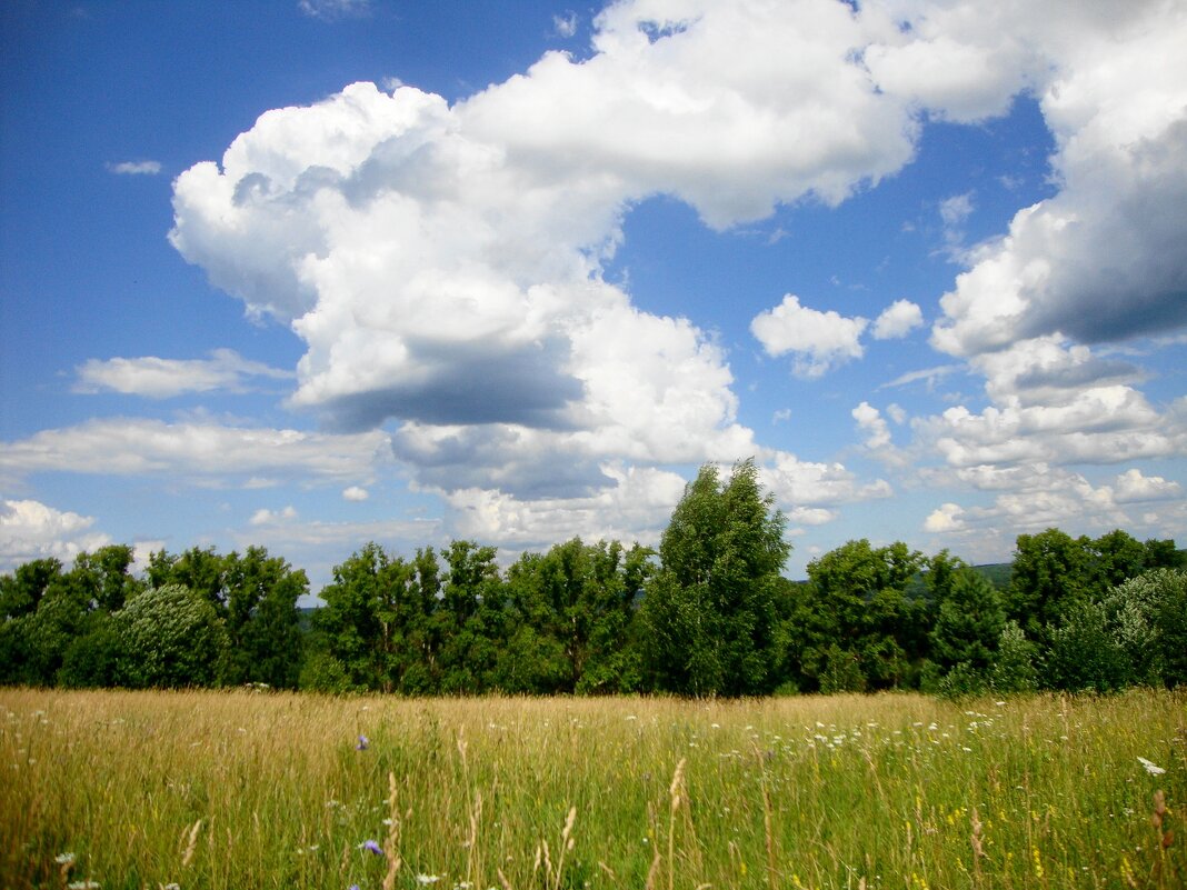 июль с облаками... - Галина Флора