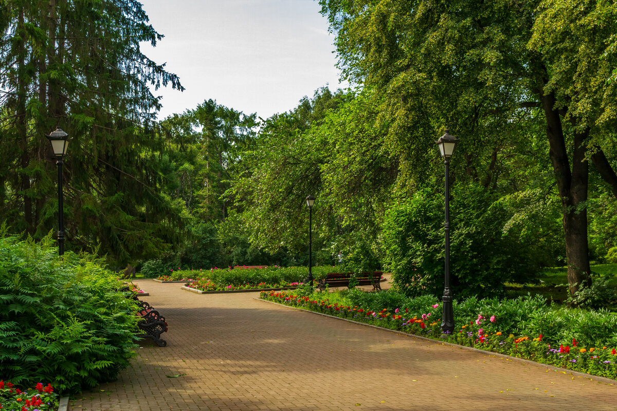 Зеленые краски лета - Михаил Пименов