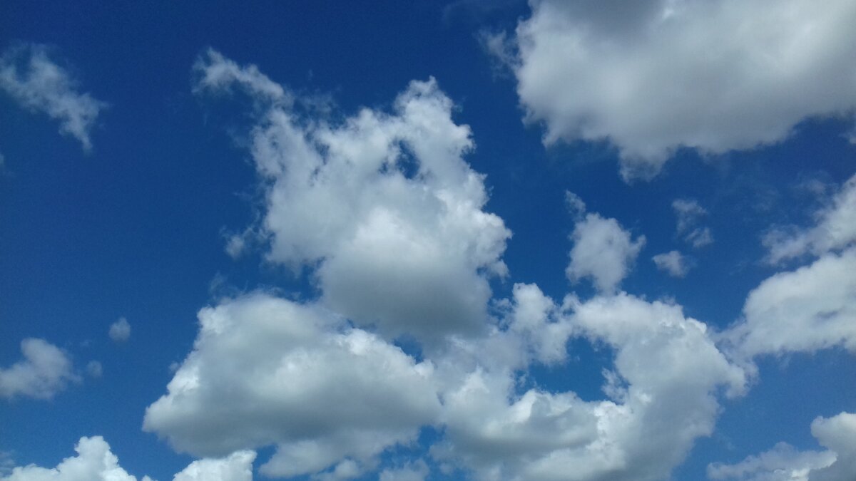 получил нагоняй - Владимир получил нагоняй - Владимир