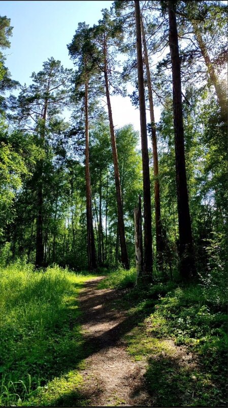 в парке - Светлана 