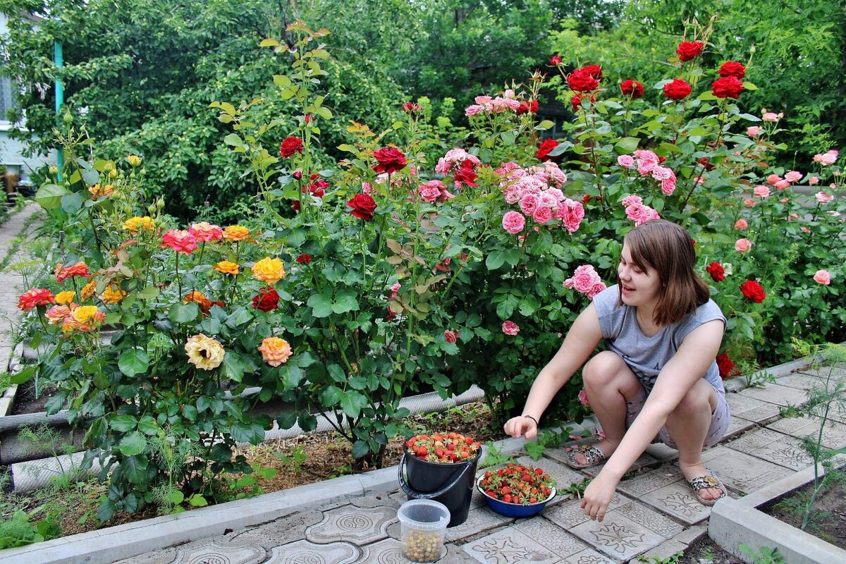 Вкусняшки. - Восковых Анна Васильевна Вкусняшки. - Восковых Анна Васильевна