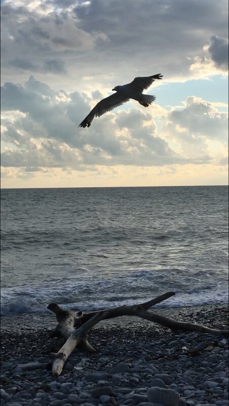 Легкое парение над морем! - Надежда Легкое парение над морем! - Надежда