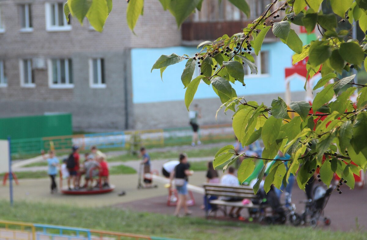 За окнами августа. - Венера Чуйкова За окнами августа. - Венера Чуйкова