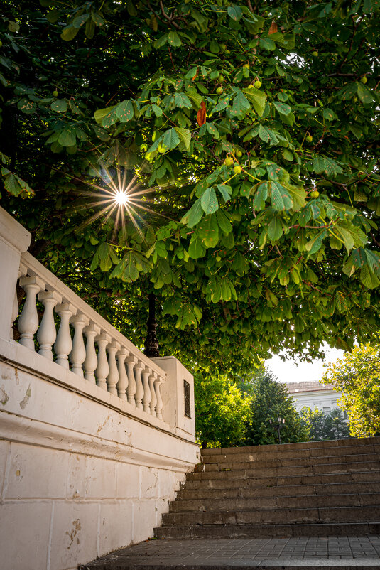 Ловушка для утреннего солнышка - ARCHANGEL 7 Ловушка для утреннего солнышка - ARCHANGEL 7