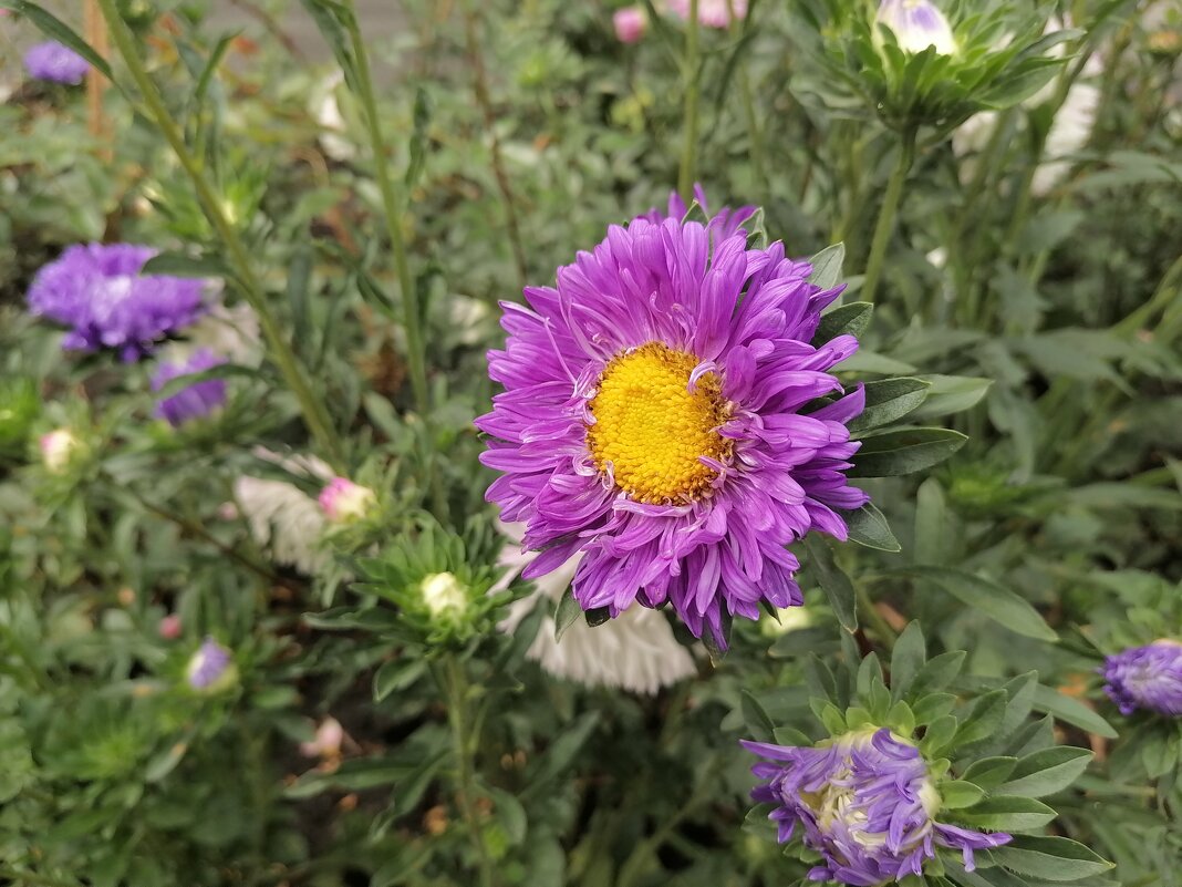 ,,, - Сергей Тимоновский ,,, - Сергей Тимоновский