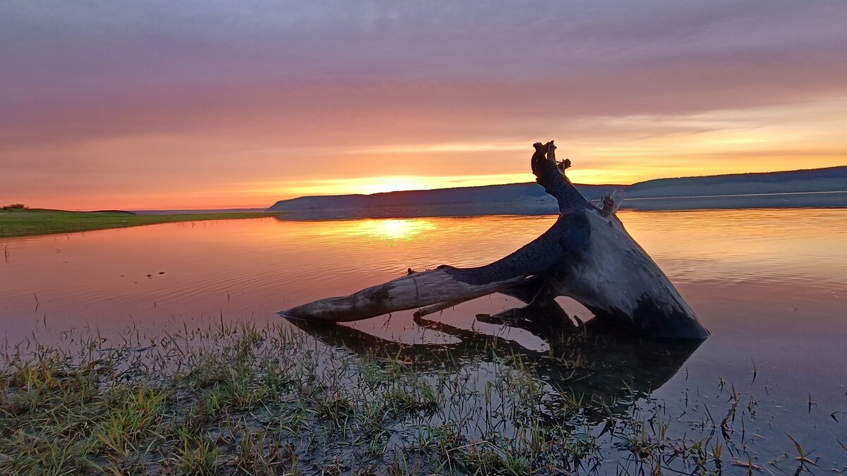 Краски заката - Ульяна Северинова Фотограф Краски заката - Ульяна Северинова Фотограф