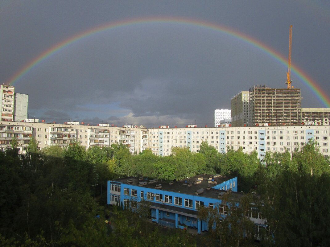 В небе радуга повисла. - Ольга Довженко