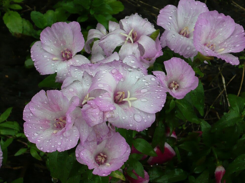 Было лето - Вера Щукина