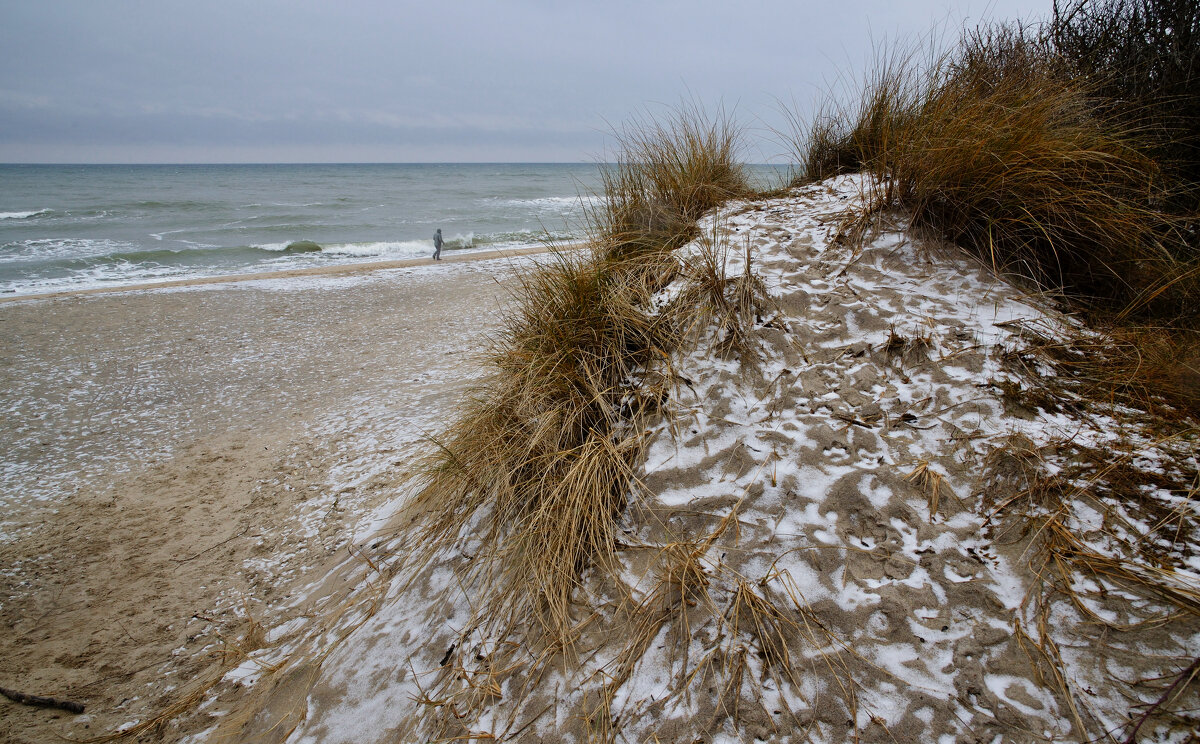Прогулка - Дмитрий Близнюченко Прогулка - Дмитрий Близнюченко