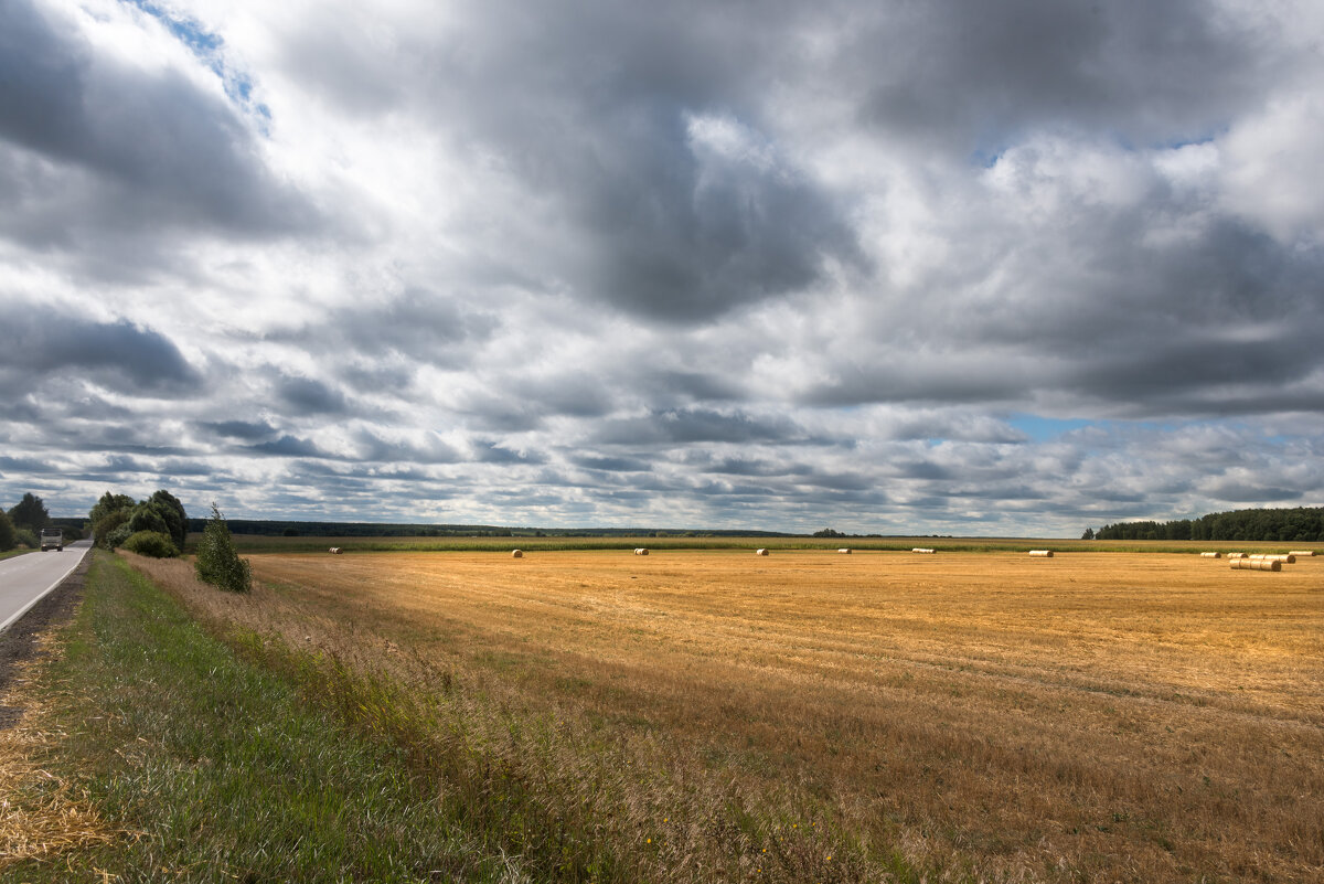 Холодный сентябрь. - Владимир Безбородов Холодный сентябрь. - Владимир Безбородов