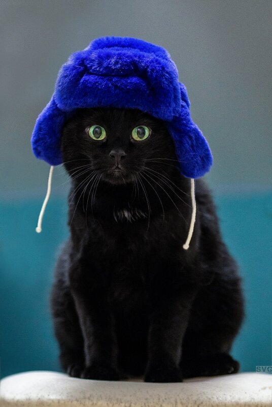 К зиме готов! - Светлана Гантажевская