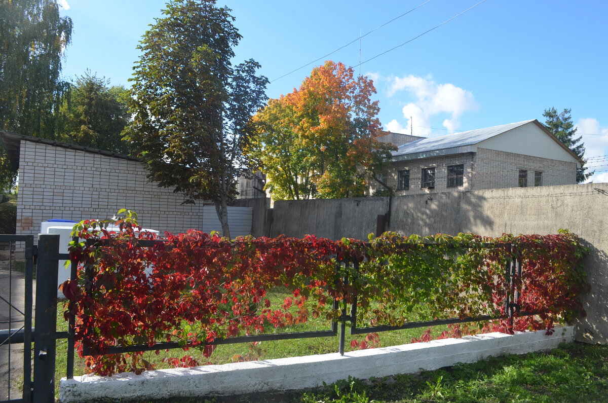 Город Великие Луки, 27 сентября 2022 года... - Владимир Павлов Город Великие Луки, 27 сентября 2022 года... - Владимир Павлов