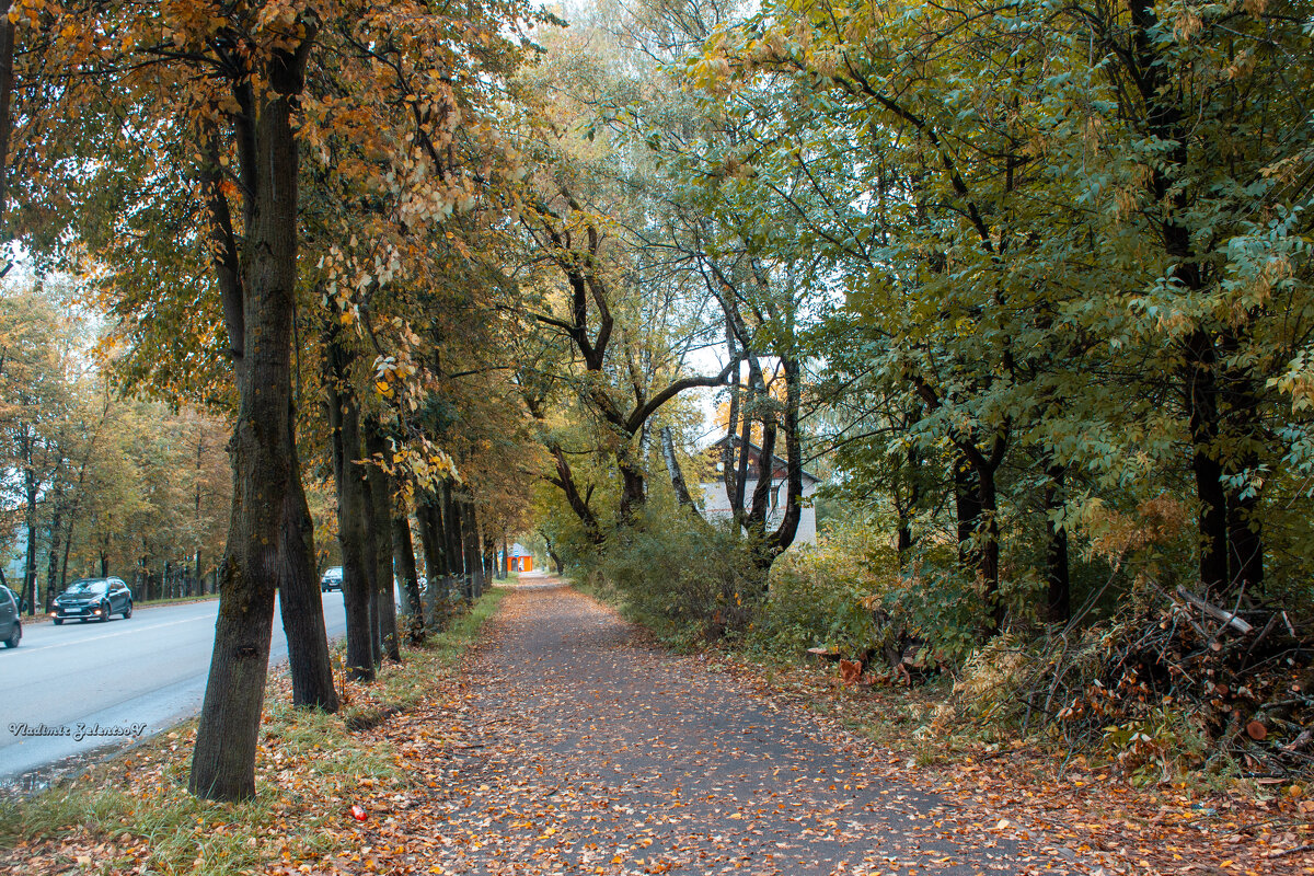 аллея в Савелово - Владимир Зеленцов аллея в Савелово - Владимир Зеленцов