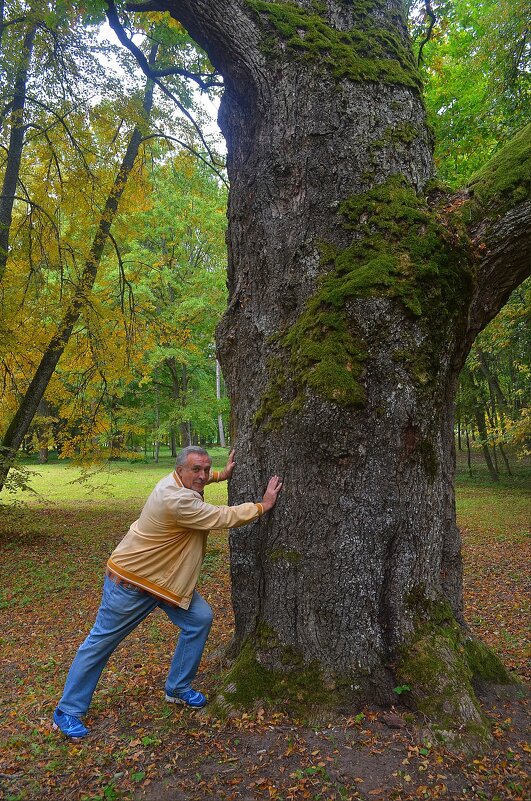 Кто кого: ВП-61 - ПД-222... - Владимир Павлов