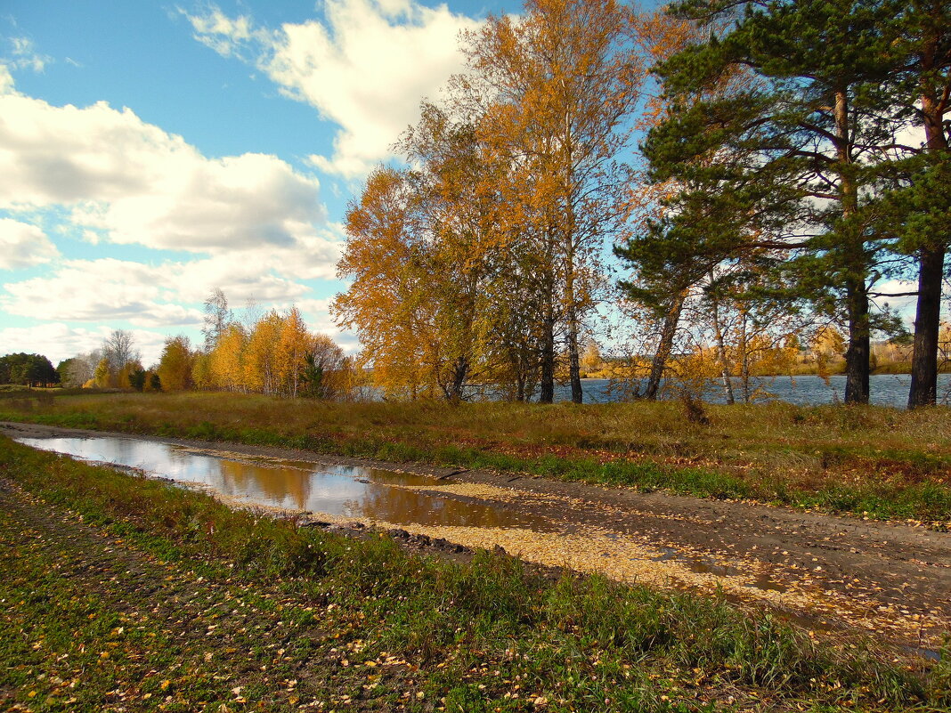 Осень,лужи,листопад... - nadyasilyuk Вознюк Осень,лужи,листопад... - nadyasilyuk Вознюк