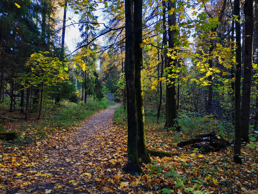 * * * - Андрей Лукьянов