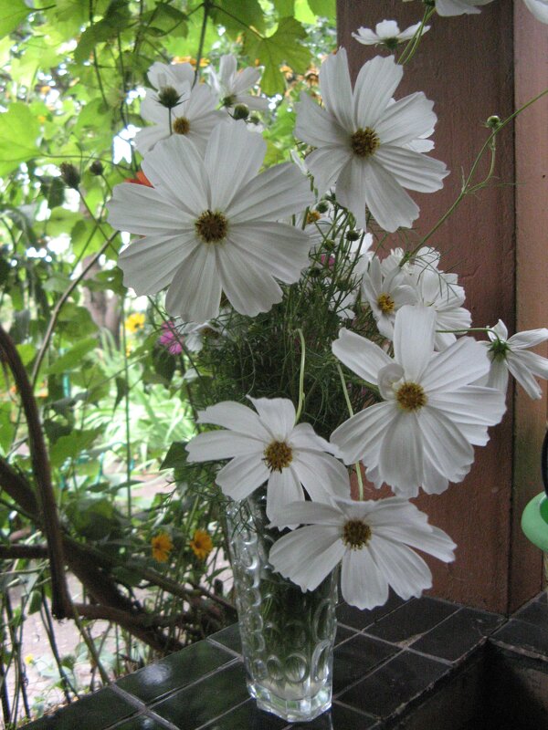 Середина лета.Космея - Нина Колгатина Середина лета.Космея - Нина Колгатина