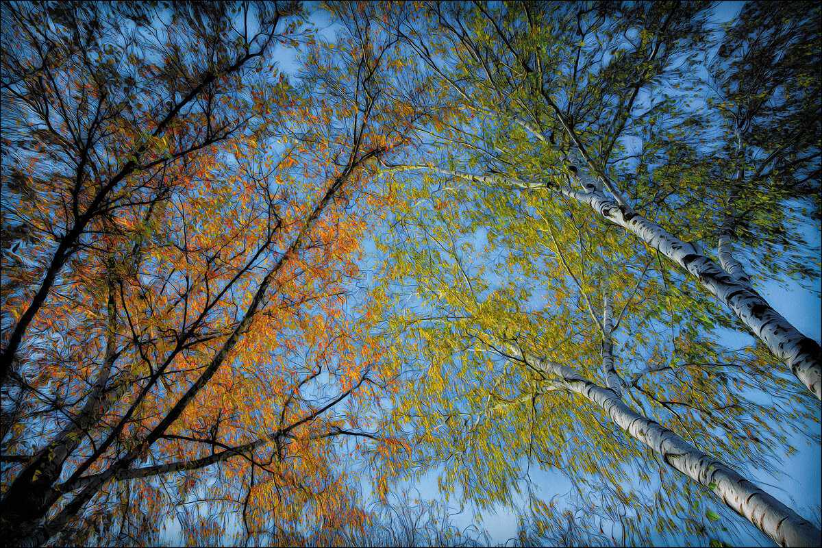 Цвета осени. - Андрей. Цвета осени. - Андрей.