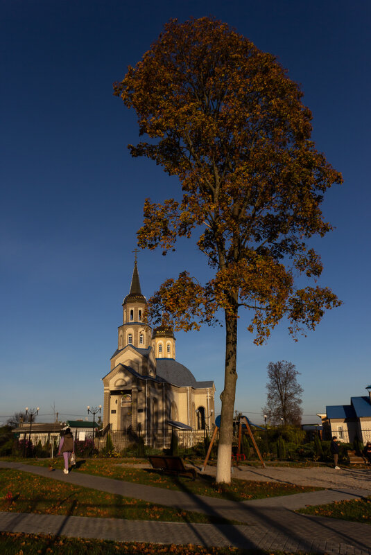 Тени. - Victor Nikonenko