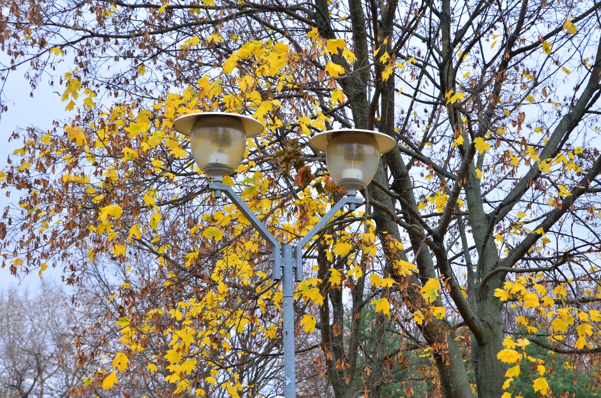 Фонари - Oleg4618 Шутченко