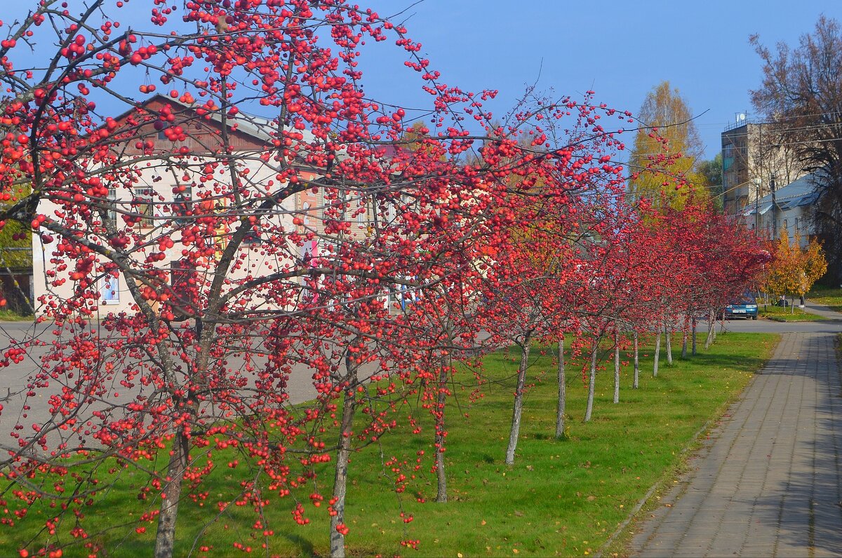 Город Западная Двина, на центральной площади, октябрь 2022 года... - Владимир Павлов