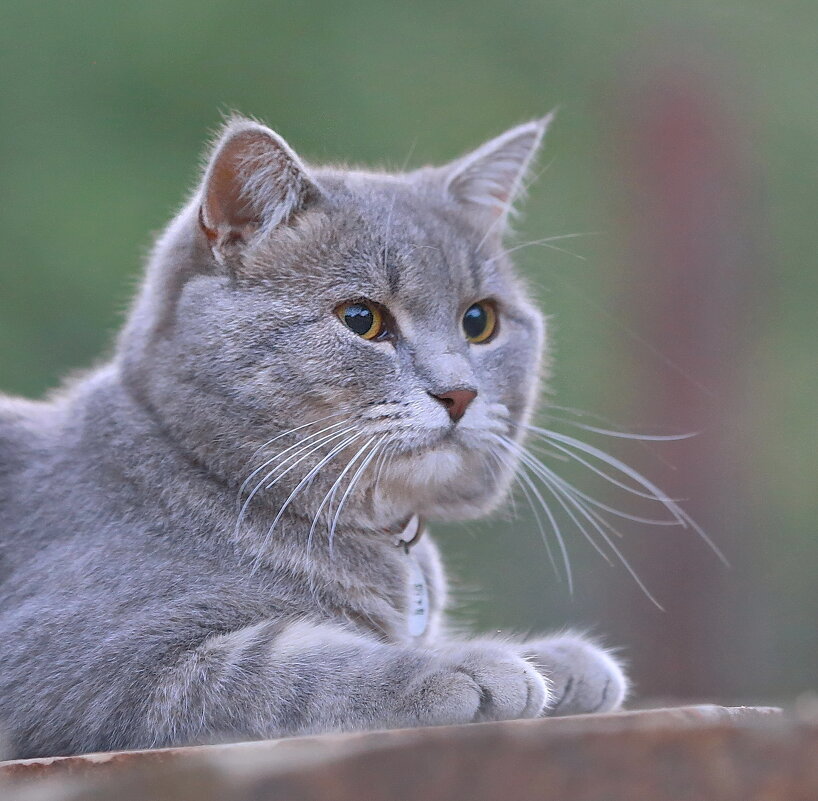 в минуты отдыха - Andrey Bragin в минуты отдыха - Andrey Bragin