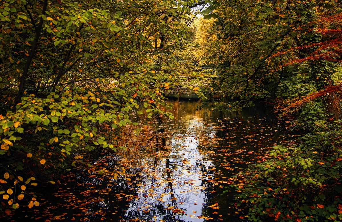 Осени краски - Alexander Andronik Осени краски - Alexander Andronik