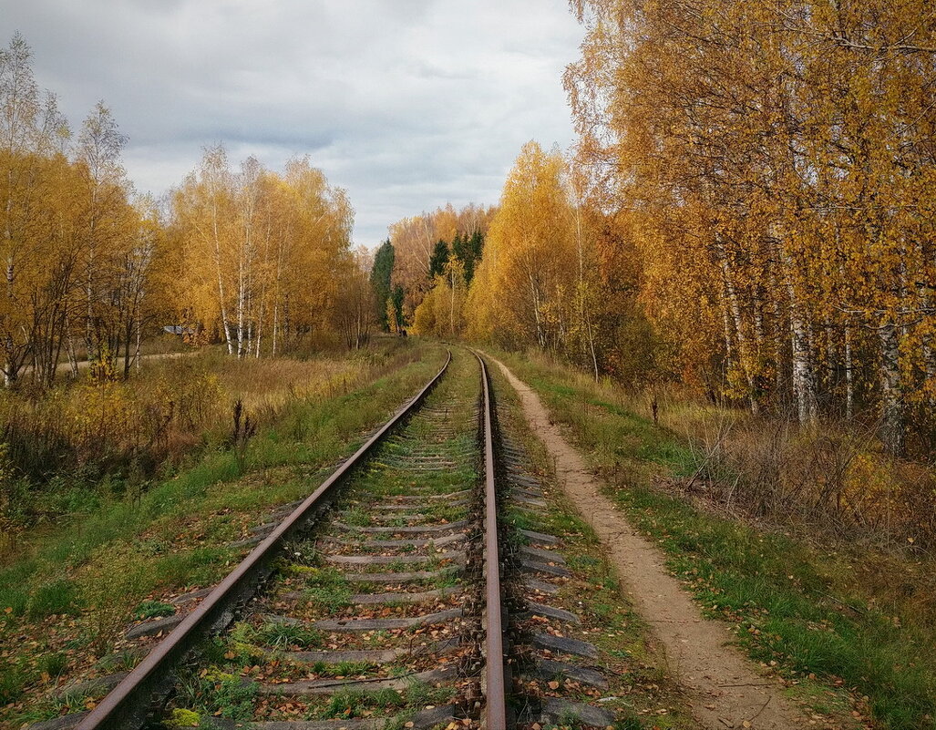 По тропинке и рельсам, в осеннюю даль - Николай Белавин