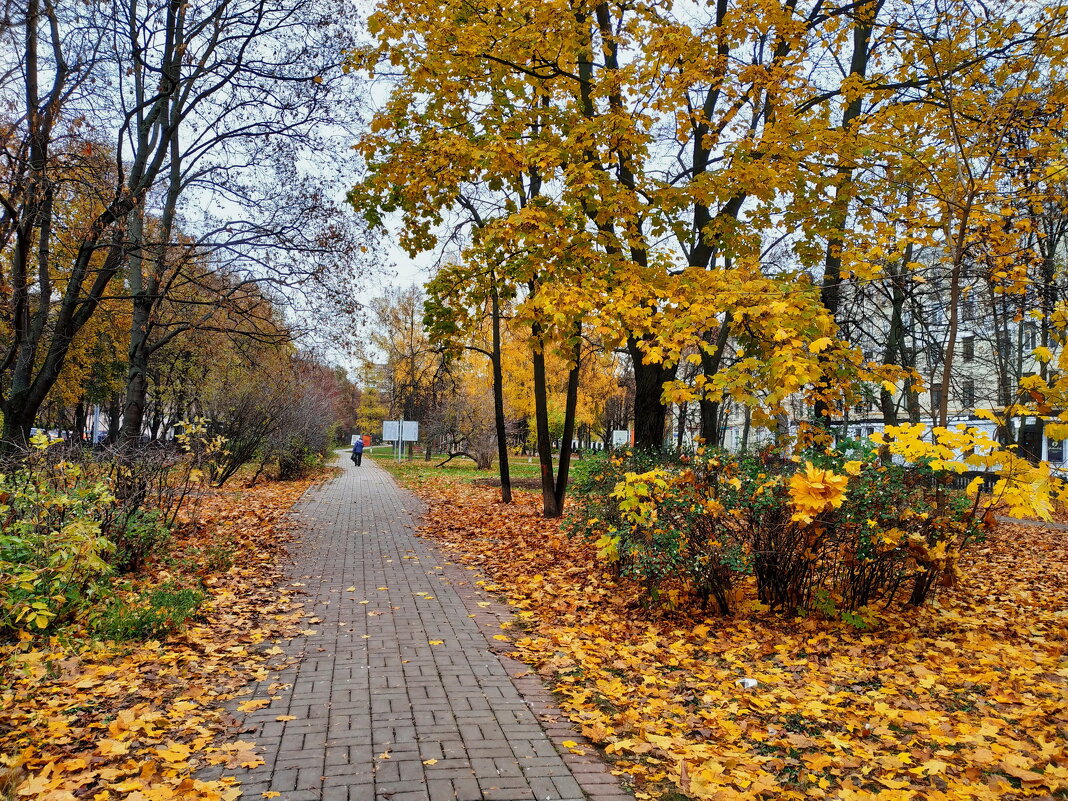 Октябрь в городе - Андрей Лукьянов