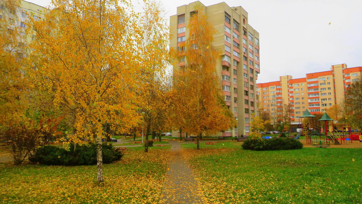 Осень в городе - Ирина Олехнович Осень в городе - Ирина Олехнович