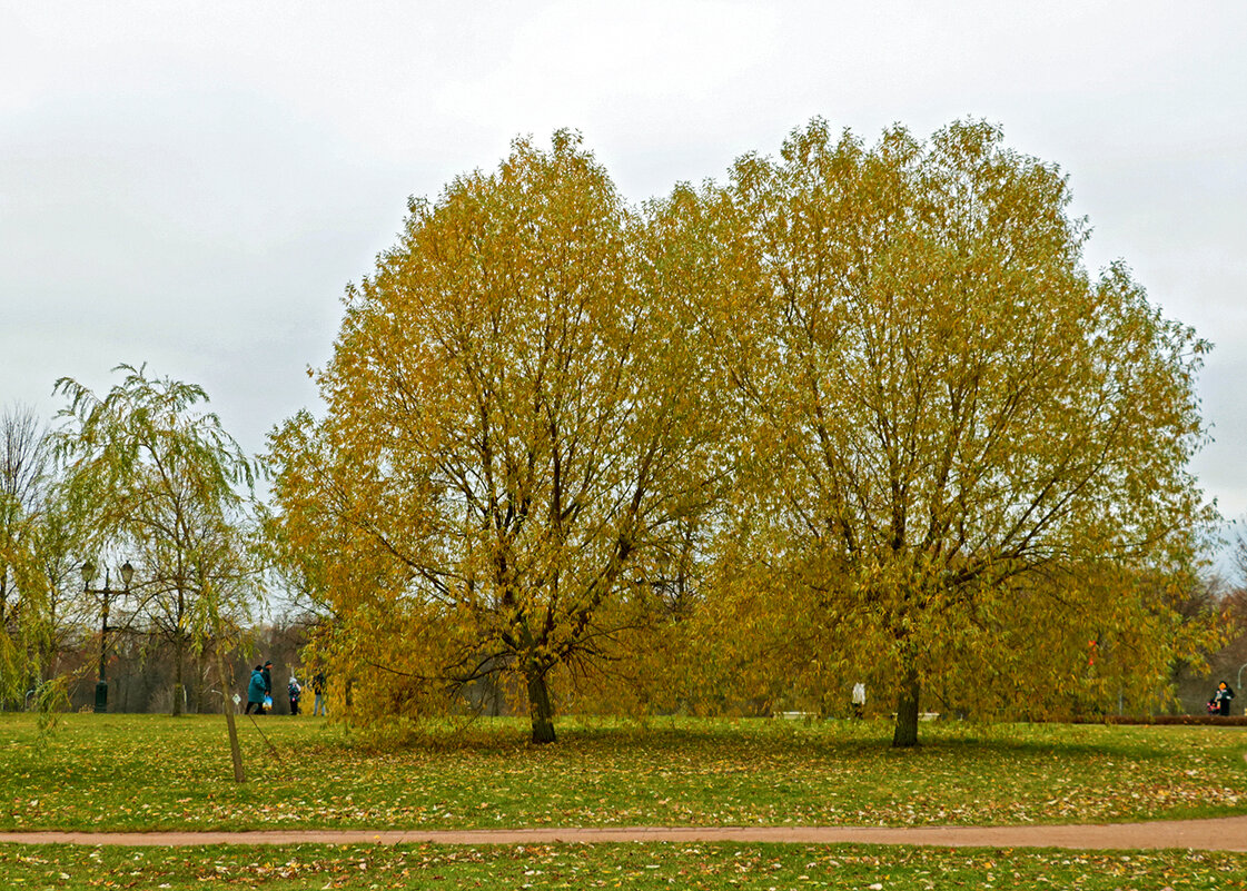 Осень в Царицыно - Светлана 