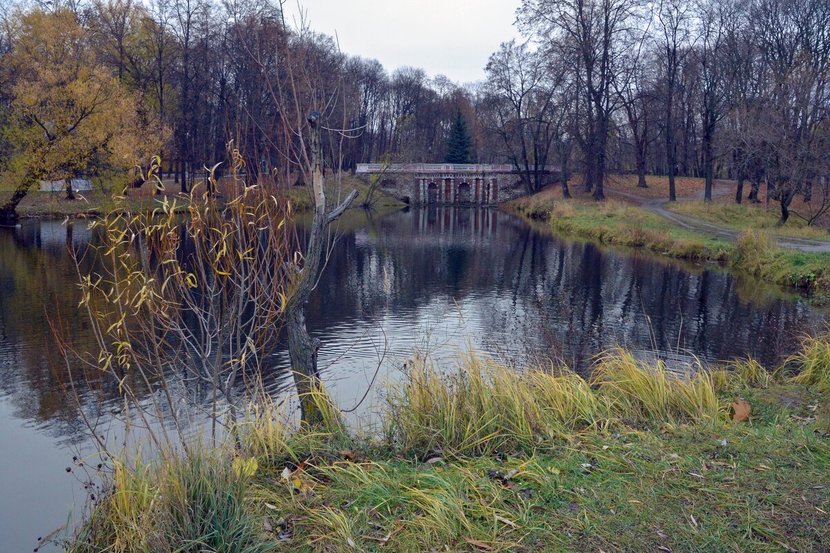 Лефортовский парк - Oleg4618 Шутченко Лефортовский парк - Oleg4618 Шутченко