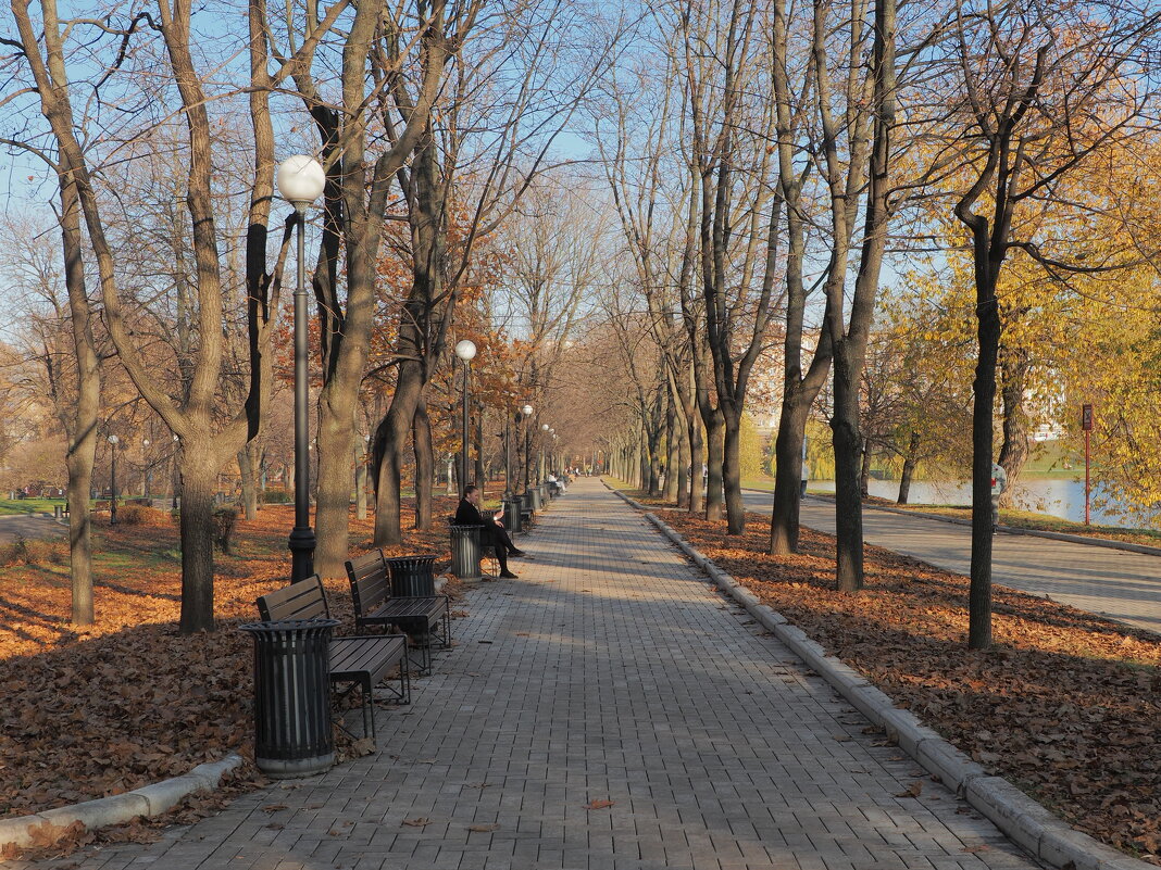 Поздняя осень - Евгений Седов Поздняя осень - Евгений Седов