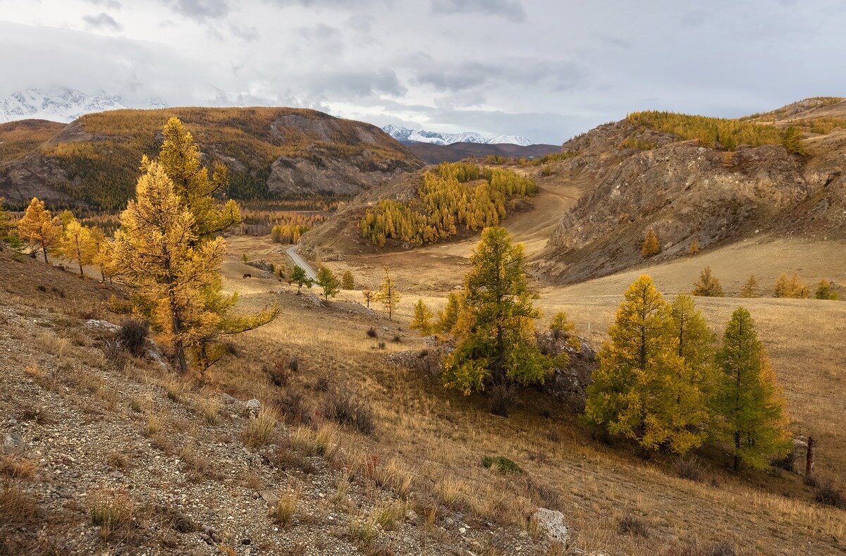 Осень на Алтае - Марина Фомина.