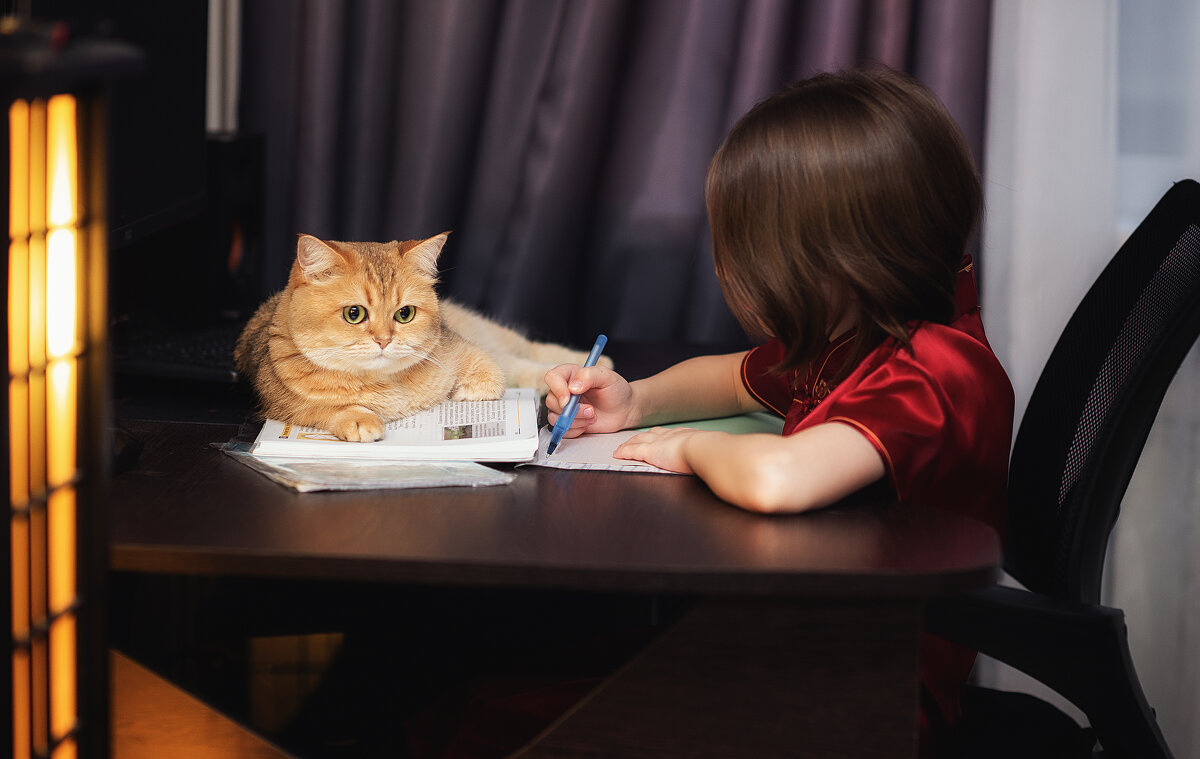 Кот учёный) - Лилия .