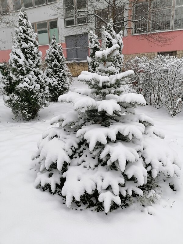 ,,, - Сергей Тимоновский ,,, - Сергей Тимоновский