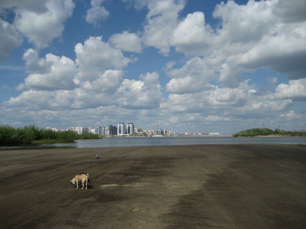 Дорога "воздушных подушек" - Anna Ivanova Дорога "воздушных подушек" - Anna Ivanova
