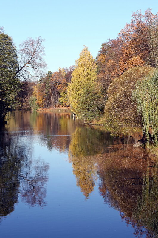 Октябрь - Михаил Бибичков
