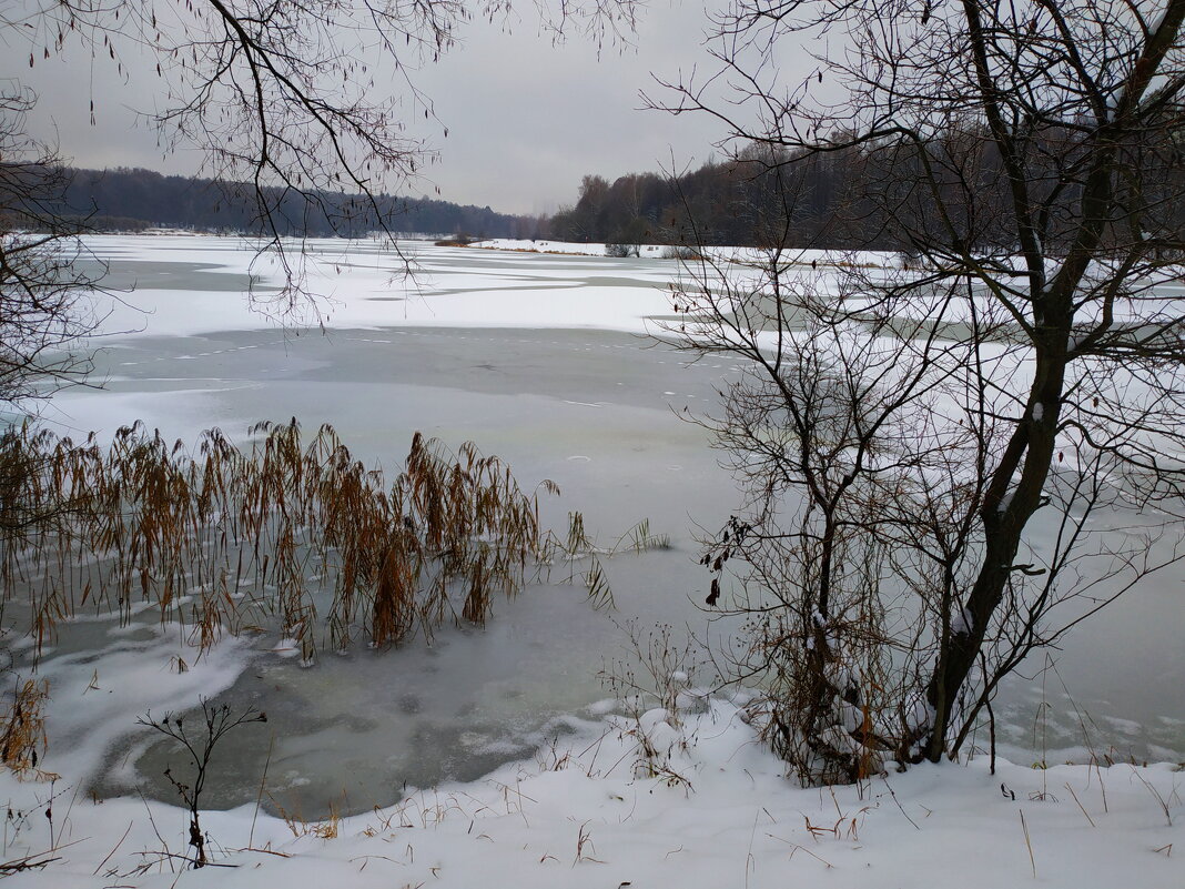 Ноябрь похожий на зиму - Андрей Лукьянов Ноябрь похожий на зиму - Андрей Лукьянов