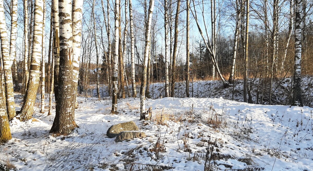 Где-то за городом... - Наталья Герасимова