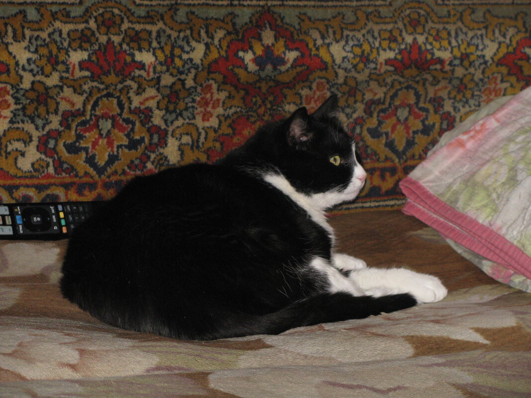 Кто там ходит, спать мешает - Людмила Смородинская