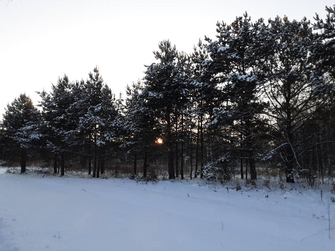 Зима - Глен Ленкин