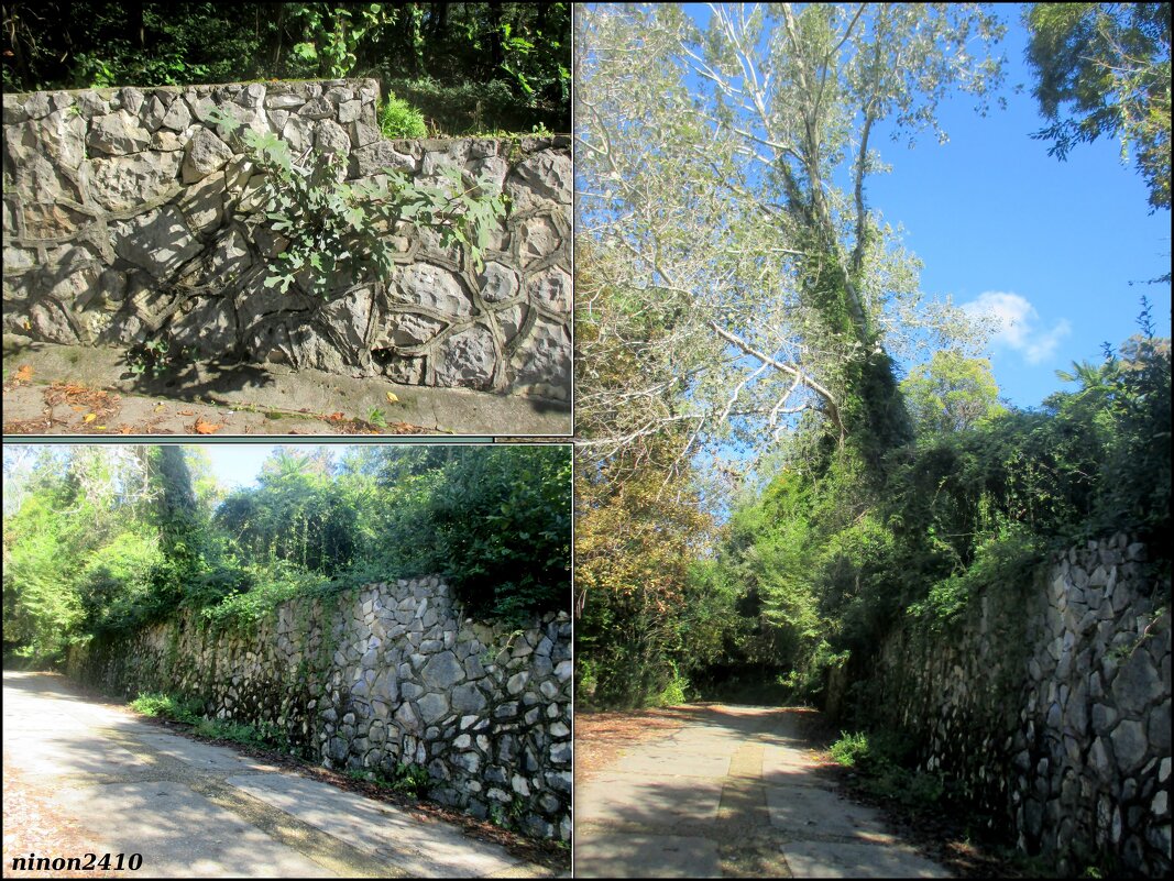 Адлер... октябрь... - Нина Бутко