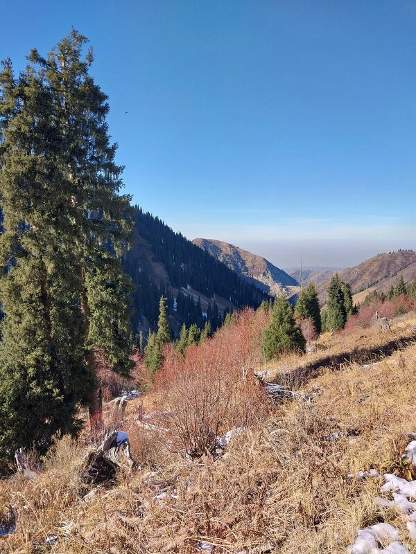 Almaty. - Murat Bukaev 