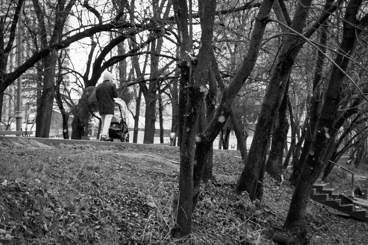 На прогулке - Игорь Протасов