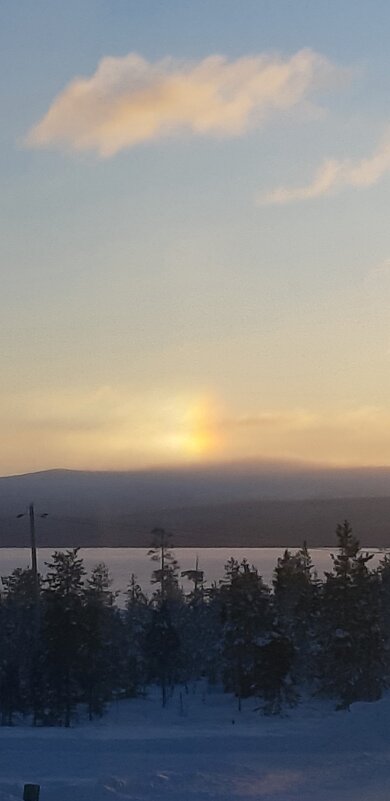 Зимнее гало - Ольга Зимнее гало - Ольга