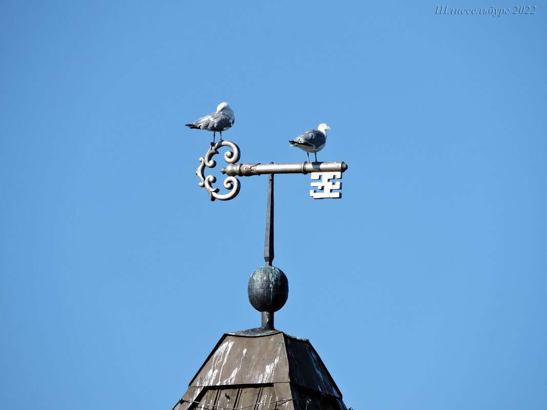 Шлиссельбург - "ключ-город" - # fotooxota