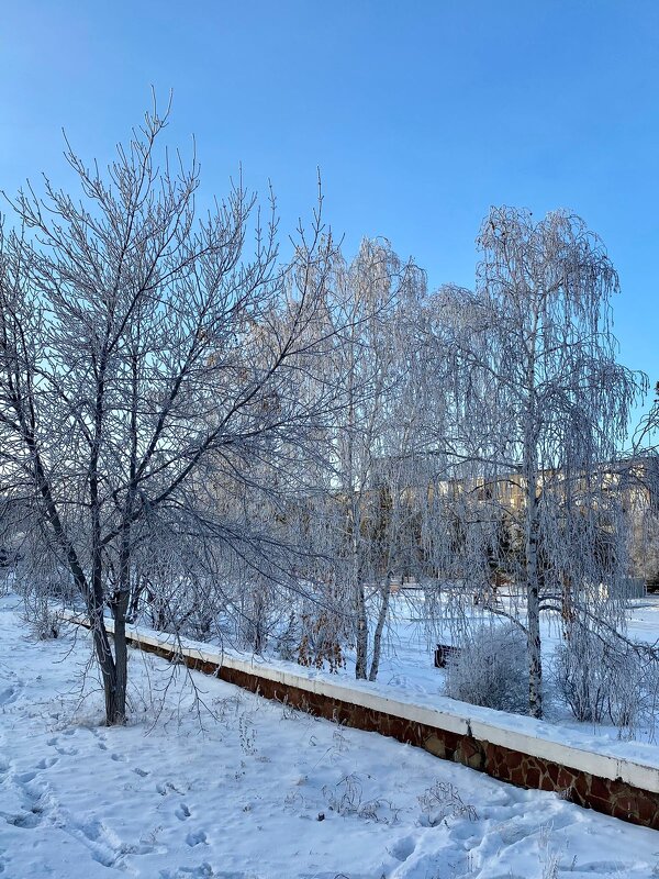 Зима в городе - Нина Колгатина 