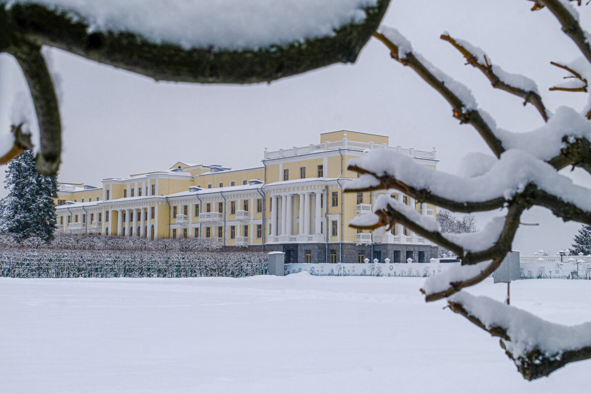 Санаторные корпуса на территории усадьбы Архангельское - Георгий А