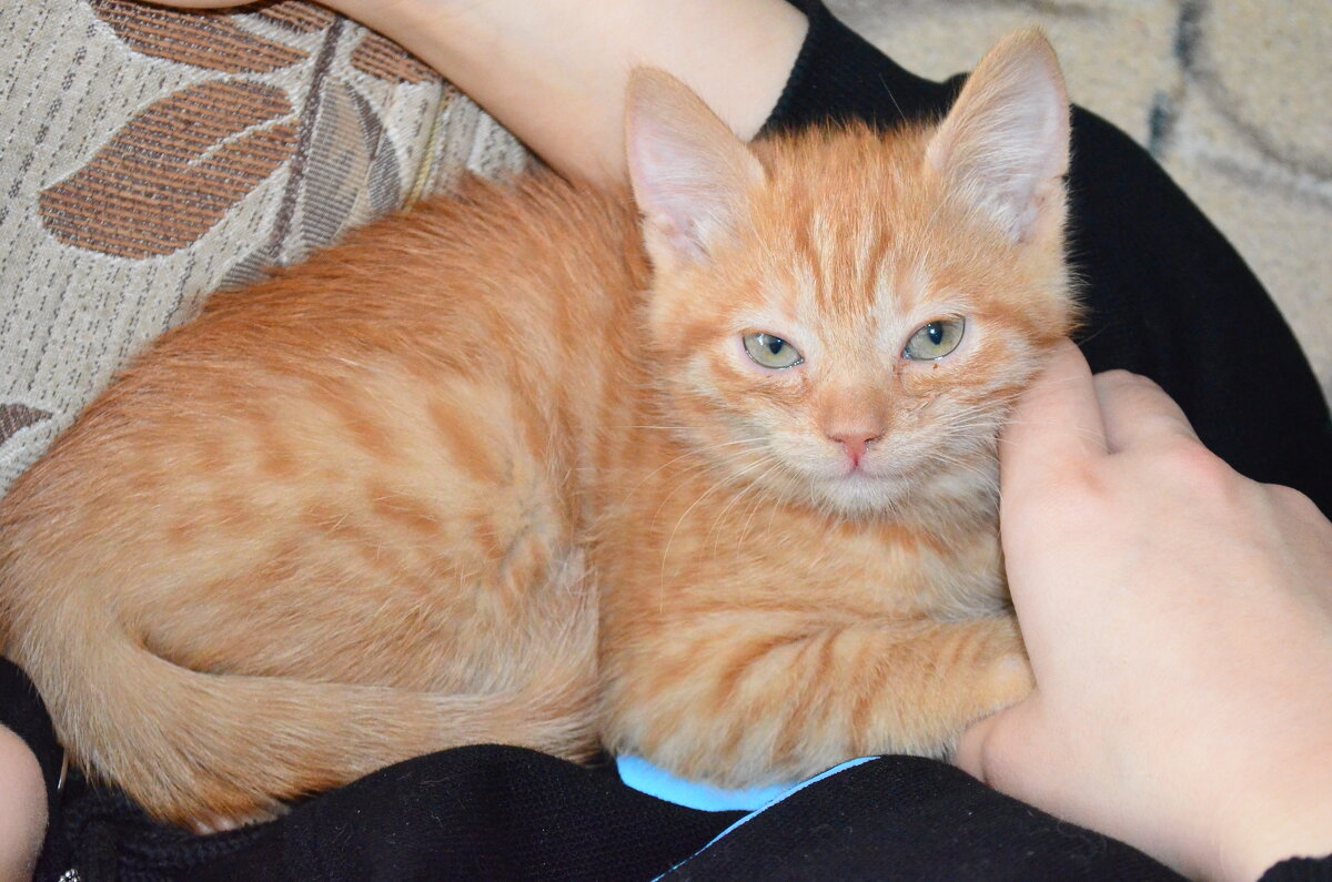 Новый постоялец! - Джексон Новый постоялец! - Джексон